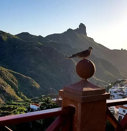 El Rinconcito De * Tejeda (Gran Canaria)